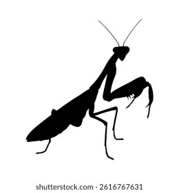 Praying mantis silhouette icon vector flat design on white background.