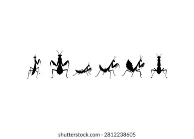 Praying Mantis Silhouette Vector Collection Set