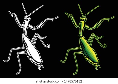 PRAYING MANTIS VECTOR ART HAND MADE DRAWING