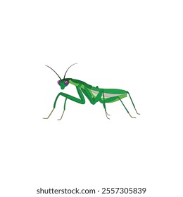 Praying mantis vector icon, for cartoon template