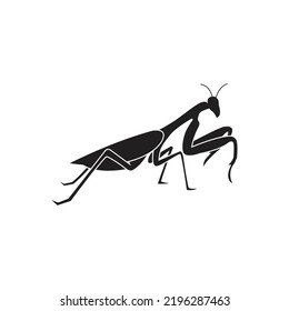 Praying Mantis Vector Icon, Isolated On White Background