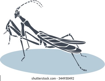 Praying Mantis, Vector Illustration