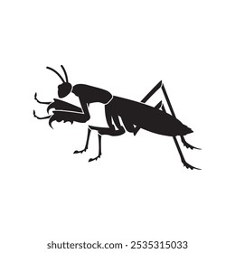 Praying mantis vector isolated on white background.