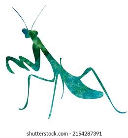 praying mantis watercolor silhouette, on white background, isolated, vector