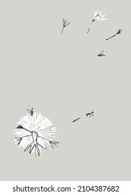 Pre made template with Dandelion flower. Summer concept. Decorative greeting card, invitation, poster, design background, birthday party.