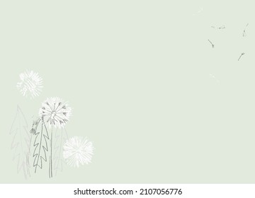 Pre made template with Dandelion flower. Summer concept. Decorative greeting card, invitation, poster, design background, birthday party.