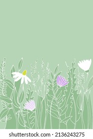 Pre made template with Meadow flower. Summer concept. Decorative greeting card, invitation, poster, design background, birthday party.