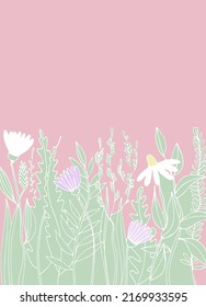Pre made template with Meadow flower. Summer concept. Decorative greeting card, invitation, poster, design background, birthday party.