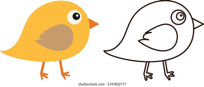 Pre School Coloring Bird Illustration