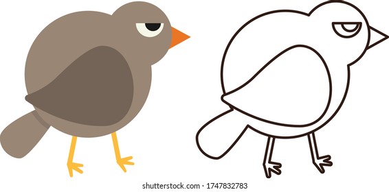 Pre School Coloring Bird Illustration