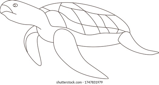 Pre School Coloring Sea Animal