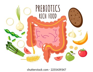 Prebiotic fiber rich food vector infographics concept. Vector cartoon graphic design element illustration