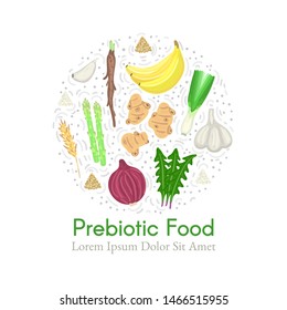 Prebiotic food. Nutrition. Nondigestible fibers. Gastrointestinal Health. Healthy diet supplement. Card, cover, label, package, brochure, banner, poster, advertisement, leaflet. Vector, eps10