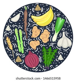 Prebiotic food. Nutrition. Nondigestible fibers. Gastrointestinal Health. Healthy diet supplement. Card, cover, label, package, brochure, banner, poster, advertisement, leaflet. Vector, eps10