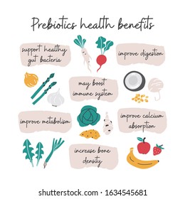 Prebiotic foods health benefits info-graphic hand drawn illustration