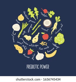 Prebiotic fruit and vegatables hand drawn info-graphic circle illustration