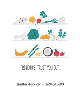 Prebiotic fruit and vegetables pantry shelf hand drawn illustration