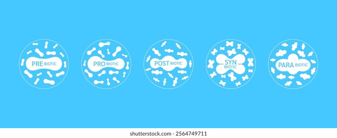 Prebiotic Probiotic Postbiotic Parabiotic Synbiotic on blue background. Good bacterial flora for stomach and intestine. Health care immunity support. Banner vector EPS10.