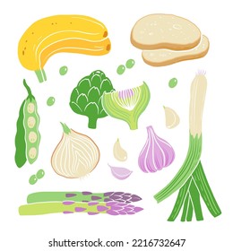 Prebiotic products, sources of these bacteria, nutrient rich food. Flat vector illustration of soy beans asparagus onion banana garlic artichoke. Vegetables and fruit for gut health.