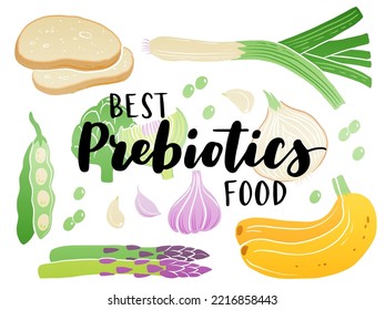 Prebiotic products, sources of these bacteria, nutrient rich food. Flat vector illustration of soy beans asparagus onion banana garlic artichoke. Vegetables and fruit for gut health.