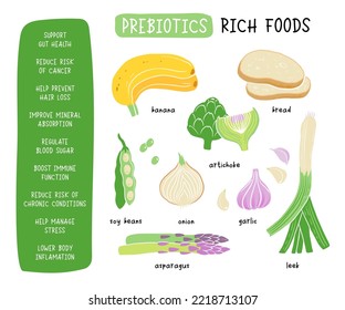 Prebiotic products, sources of these bacteria, nutrient rich food. Flat vector illustration of soy beans asparagus onion banana garlic artichoke