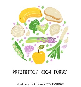 Prebiotic products, sources of these bacteria, nutrient rich food. Flat vector illustration of soy beans asparagus onion banana garlic artichoke