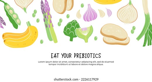 Prebiotic products, sources of these bacteria, nutrient rich food. Flat vector illustration of soy beans asparagus onion banana garlic artichoke