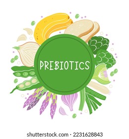 Prebiotic products, sources of these bacteria, nutrient rich food. Flat vector illustration of soy beans asparagus onion banana garlic artichoke