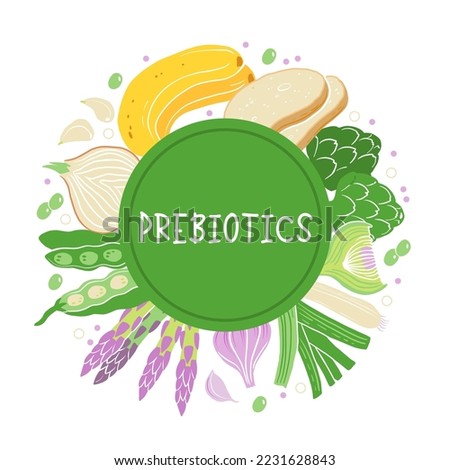 Prebiotic products, sources of these bacteria, nutrient rich food. Flat vector illustration of soy beans asparagus onion banana garlic artichoke