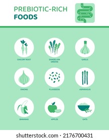Prebiotic-rich foods that help digestion, infographic with icons