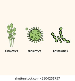 Prebiotics, probiotics, and postbiotics vector illustration.