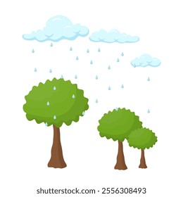 Precipitation in Water Cycle Processes