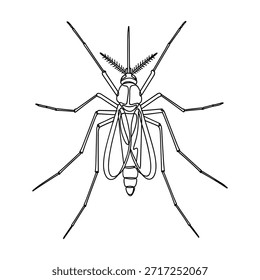 Um desenho de linha preto e branco preciso de um mosquito de uma perspectiva de cima para baixo.