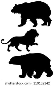 Predator animal silhouettes, brown bear, lion and polar bear vector illustration