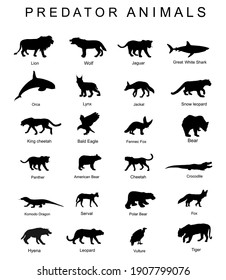 Predator animals set vector silhouette illustration isolated on white background. Wildlife carnivore collection. Most danger creature on the planet. Big cat group. Strong and fast hungry hunters set.