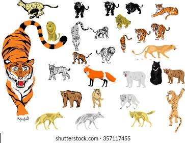 Predator animals vector set