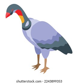 Predator bird icon isometric vector. Shape condor. Zoo griffin