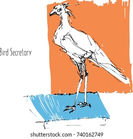 predator birds vector sketches, hand drawn illustration. 