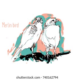 predator birds vector sketches, hand drawn illustration. 