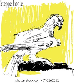 predator birds vector sketches, hand drawn illustration. 