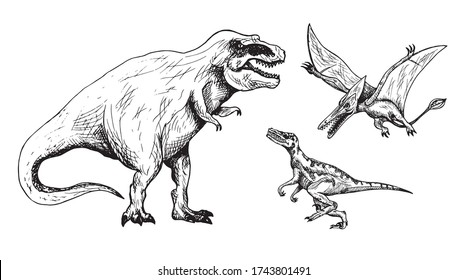 捕食恐竜セット ティラノサウルス ヴェロキラプトル プテロダクチル 手描きの白黒の落書きスケッチ インク描きのイラスト のベクター画像素材 ロイヤリティフリー Shutterstock