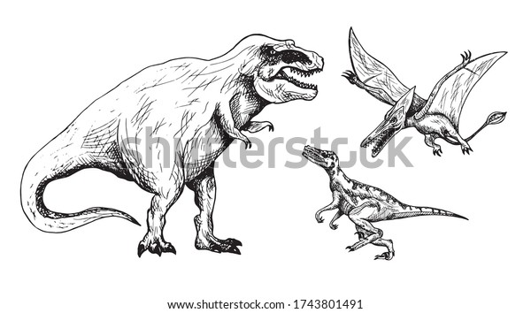 捕食恐竜セット ティラノサウルス ヴェロキラプトル プテロダクチル 手描きの白黒の落書きスケッチ インク描きのイラスト のベクター画像素材 ロイヤリティフリー