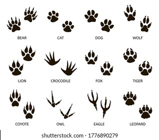 gift Tante Hende selv Coyote footprint Images, Stock Photos & Vectors | Shutterstock