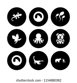 predator icon. 9 predator set with scorpion, bear, sperm and shark fin vector icons for web and mobile app