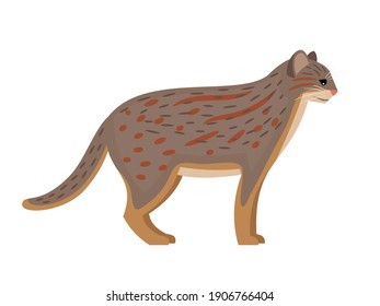 Predator with spots. Cartoon fluffy exotic mammal, cute spotted beast of nature, vector illustration of rusty cat isolated on white background