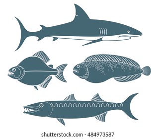 Predators. Abstract fish on white background