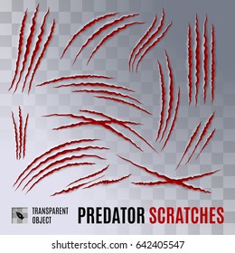 Predators Claws Scratches on Transparent Background. Scratch Claw Animal and Illustration Shred From Claw