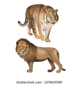 Predatory animals - lion and tiger. Vector illustration isolated on white background