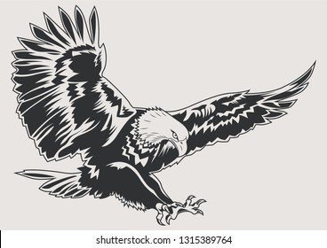 Predatory Bird Eagle Isolated Graphic Sketch
