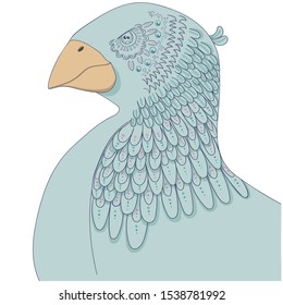 Predatory bird head. Vector doodle illustration